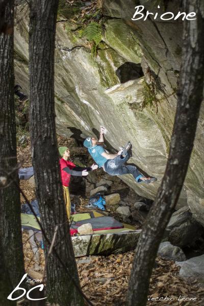 Max working on "Vecchio Leone"